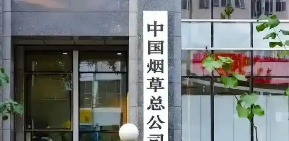 卡马拉：法国拥有世界级球员，但塞内加尔也能书写自己的故事